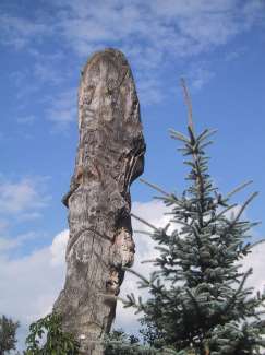 IMG_2134.JPG